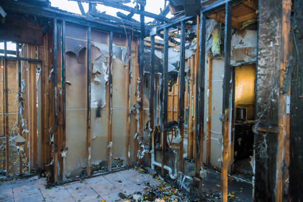 Professional Odor Removal technician working in Robstown, TX